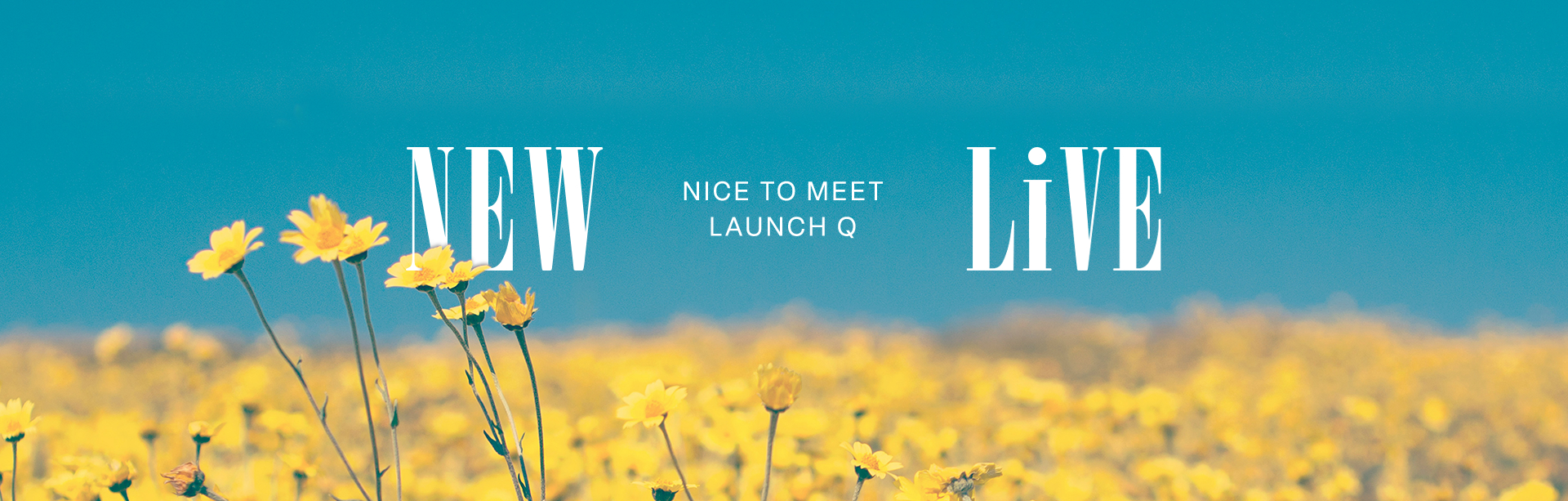 NEW NICE TO MEET LAUNCH Q LIVE