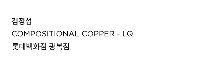 김정섭 Compositional Copper - LQ AK플라자 수원점